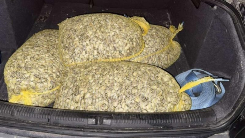 Бракониер се опита да избяга от "Гранична полиция" с 90 кг незаконен улов от бяла мида